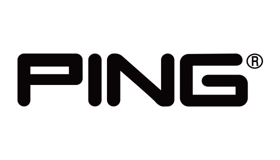 핑(PING)